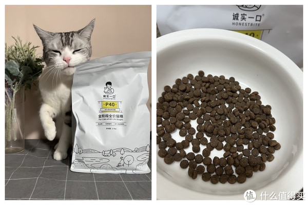 猫粮哪个牌子质量好性价比高？顶制猫粮、诚实一口、小仙肉烘焙粮怎么选？